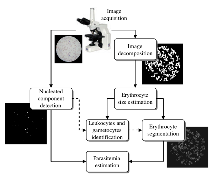 File:Image processing pipeline for the automatic estimation of parasitemia.png