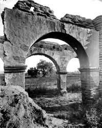 (PD) Photo: Charles C. Pierce Mission San Luis Rey de Francia is home to with the first Peruvian Pepper Tree (Schinus molle) planted in California in 1830, visible at right behind the arches in the above photograph (taken circa 1900).