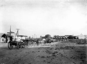 (PD) Photo: Charles C. Pierce A long string of about 16 vehicles (mostly wagons) in celebration of Judas' Day (Sabado de Gloria) on 19 April near Mission San Juan Capistrano, circa 1899-1900. The celebration included an effigy of Judas and many vehicles stolen in his name which were to be left to owners in his will at his execution by hanging at the old Mission.
